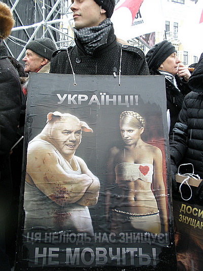 Новый Регион: Украинская оппозиция заявила о попытке объединения против Януковича (ФОТО)