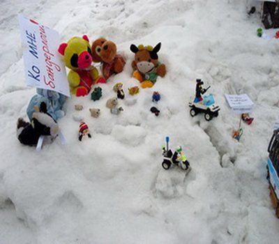 Новый Регион: В Барнауле на митинг вышли игрушки (ФОТО)