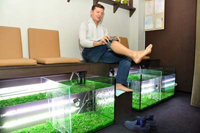 Новый Регион: Народный депутат Олег Ляшко накормил рыбок своими ногами (ФОТО)