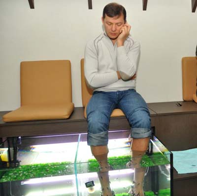 Новый Регион: Народный депутат Олег Ляшко накормил рыбок своими ногами (ФОТО)