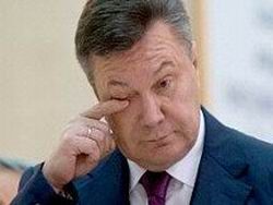 Новость на Newsland: Янукович рискует повторить судьбу Ельцина